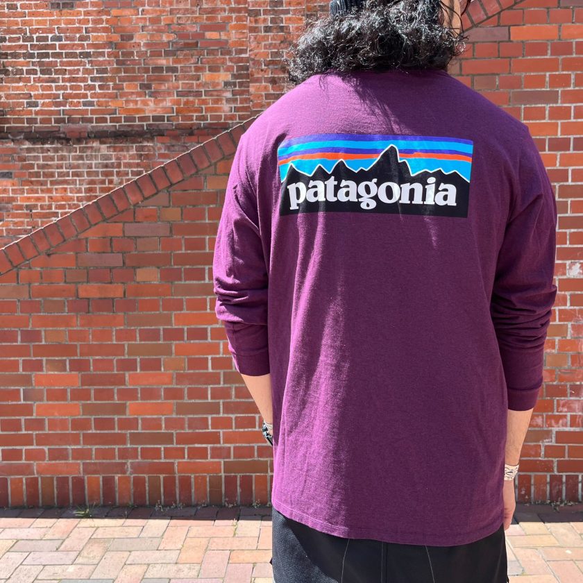 秋冬コレクション入荷しました！【 patagonia / パタゴニア 